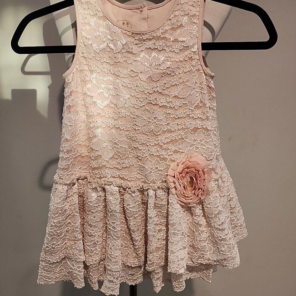 Pippa and Julie Top/Dress Size 4T Pink Lace Pink Flower A-95